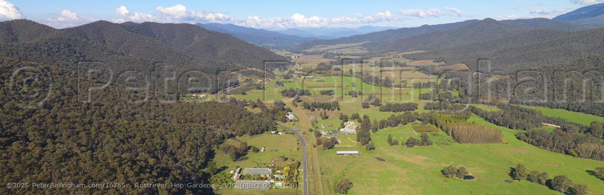 Peter Bellingham Photography Rostrevor Hop Gardens - VIC (PBH3 00 34120)